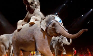 Un circo instalado en Vallecas denuncia amenazas por utilizar animales