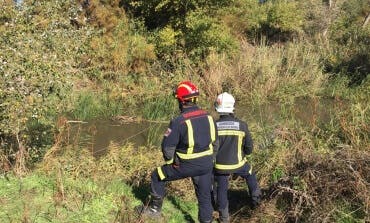 Aranjuez: Buscan a un cazador que se ha caído al río Tajo