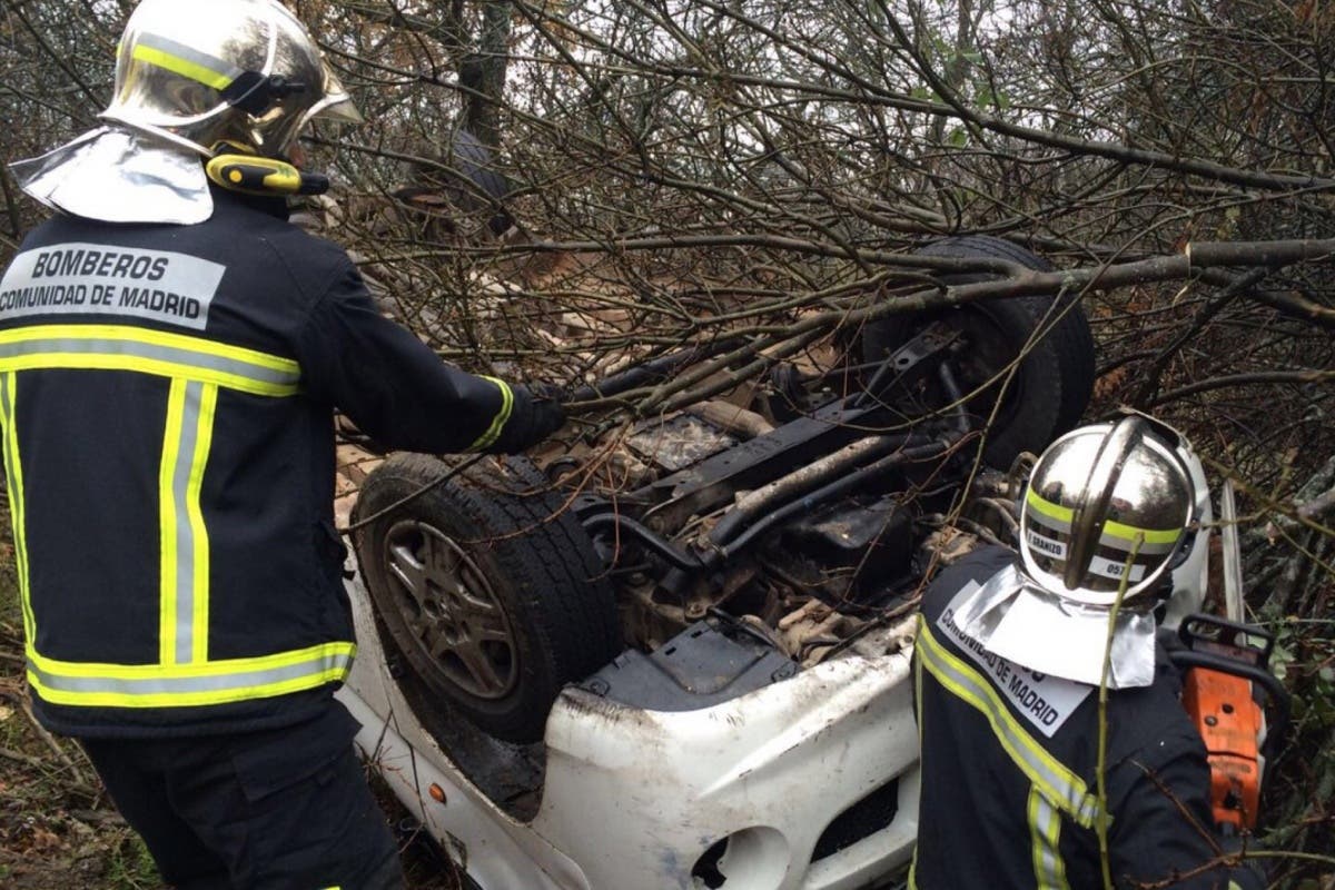 Rescatan a 5 perros y 3 gatos tras volcar la furgoneta en la que viajaban