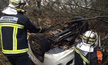 Rescatan a 5 perros y 3 gatos tras volcar la furgoneta en la que viajaban