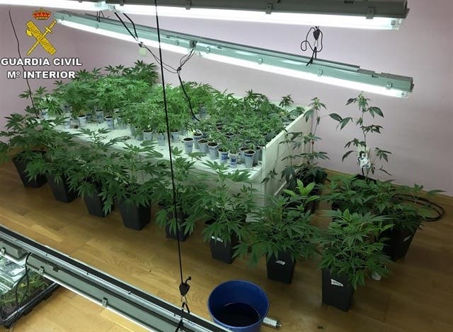 Desmantelado en Rivas el chalet de la marihuana, con 10 detenidos