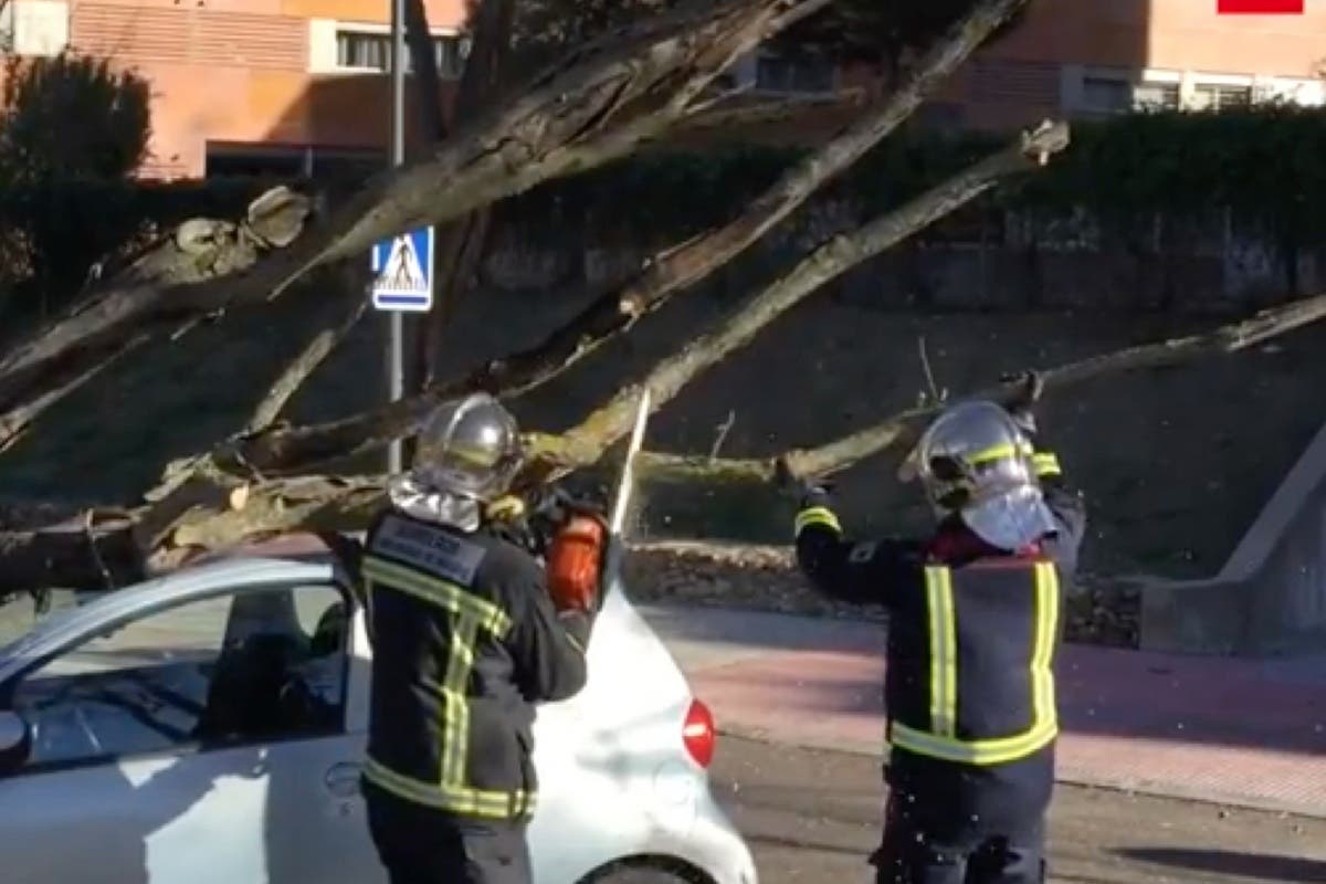 El fuerte viento provoca 530 incidencias en la Comunidad de Madrid