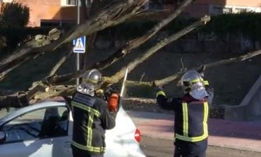 El fuerte viento provoca 530 incidencias en la Comunidad de Madrid