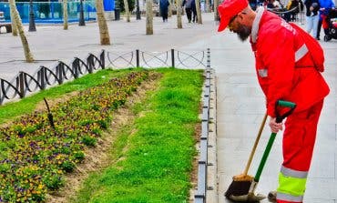 Vuelven a las calles de Torrejón las brigadas contra los excrementos caninos