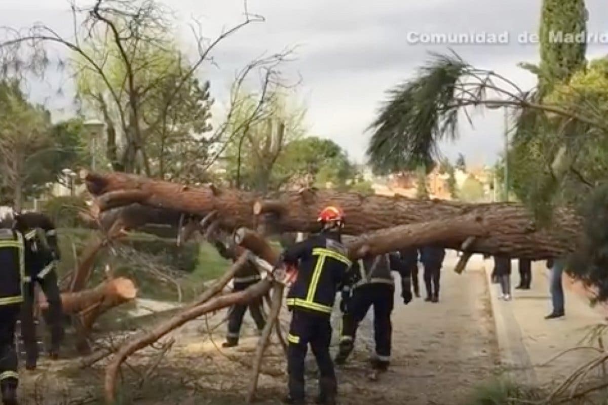 El fuerte viento provoca algunas incidencias en Alcalá y Coslada