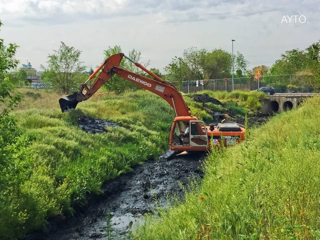 Torrejón vuelve a limpiar el arroyo Ardoz