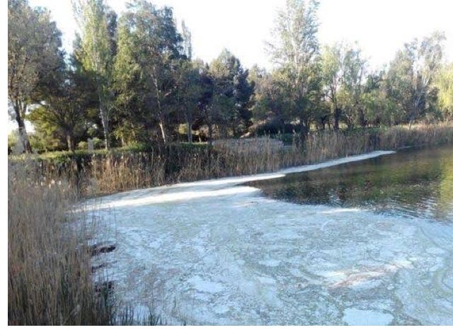 La laguna de Velilla de San Antonio amanece con nuevos vertidos