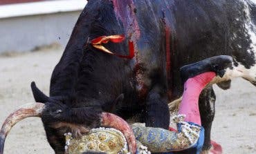 Impactante cornada al novillero García Navarrete en Las Ventas