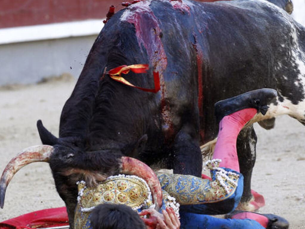 Impactante cornada al novillero García Navarrete en Las Ventas