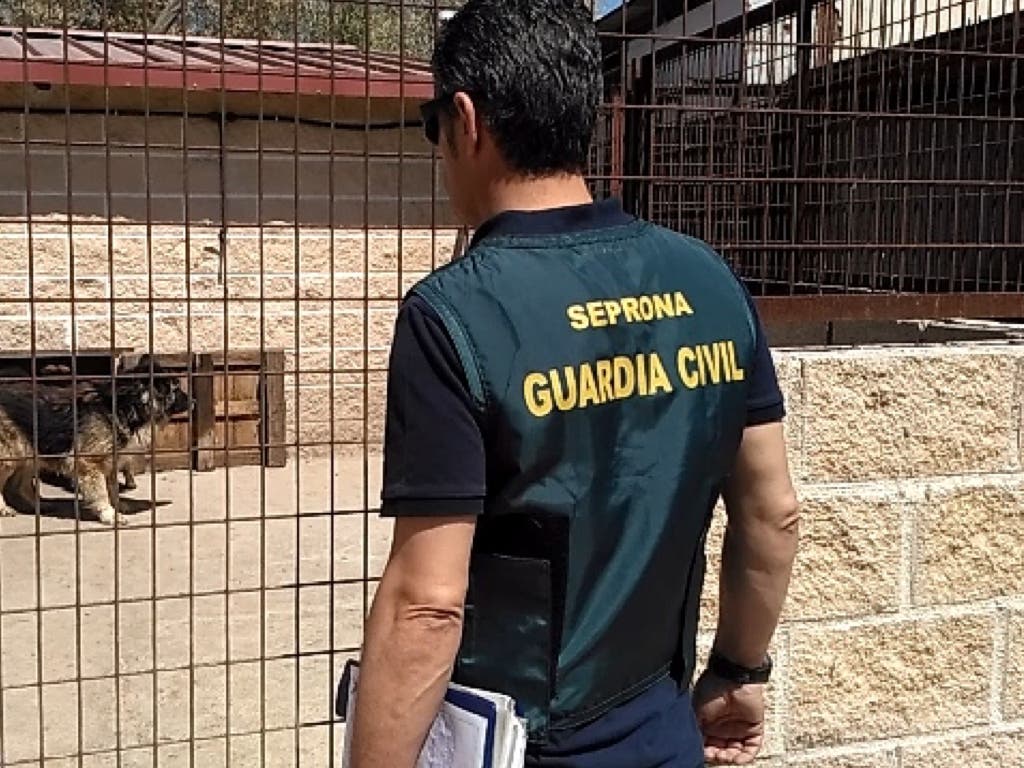 Investigan a un joven de Guadalajara después de que su perro matara a otro