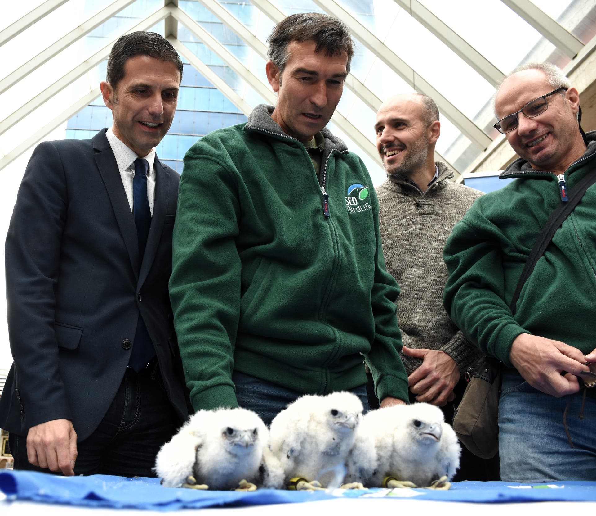 El alcalde y el concejal de Medio Ambiente han asistido al anillado de los tres pollos (Ayto.). 