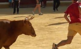 Unas Fiestas sin toros en San Fernando de Henares