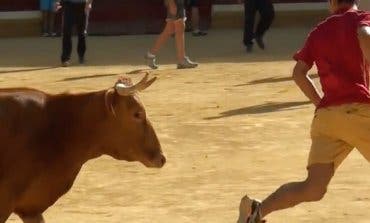 Unas Fiestas sin toros en San Fernando de Henares