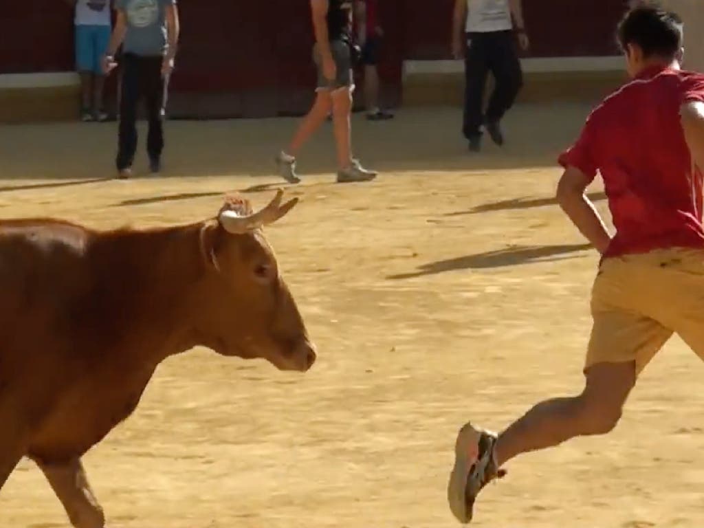 Unas Fiestas sin toros en San Fernando de Henares