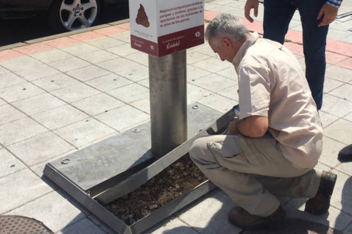 Azuqueca prueba unos novedosos urinarios para perros