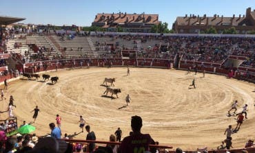 Un herido por asta de toro en el encierro de este domingo en Torrejón