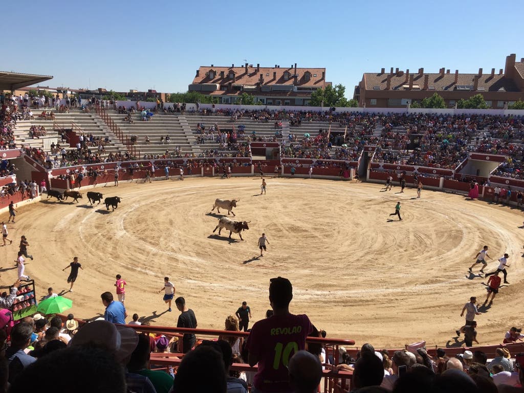 Un herido por asta de toro en el encierro de este domingo en Torrejón