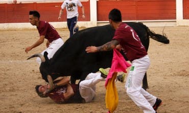 El recortador de Arganda, Peta, recibe dos cornadas en Torrejón