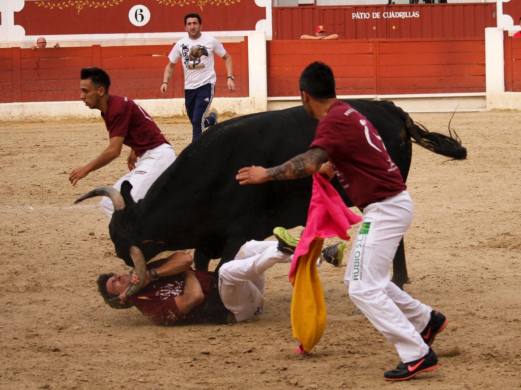 El recortador de Arganda, Peta, recibe dos cornadas en Torrejón