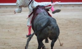 El torrejonero Gonzalo Caballero evoluciona bien de la cornada sufrida en San Fermín