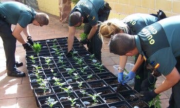 Dos detenidos por tráfico de drogas en Camarma de Esteruelas