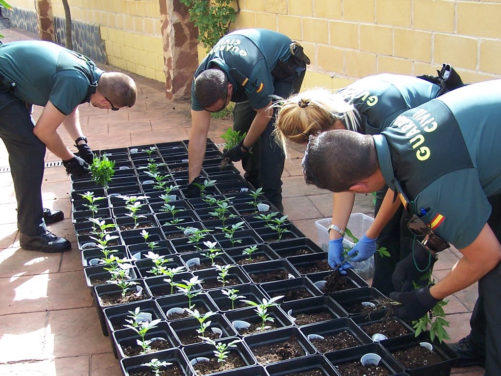 Dos detenidos por tráfico de drogas en Camarma de Esteruelas