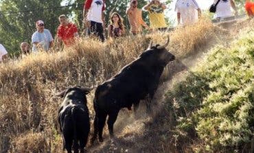 Brihuega celebra este miércoles uno de los encierros más antiguos de España