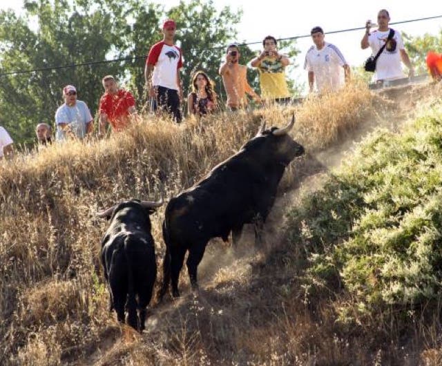 Brihuega celebra este miércoles uno de los encierros más antiguos de España