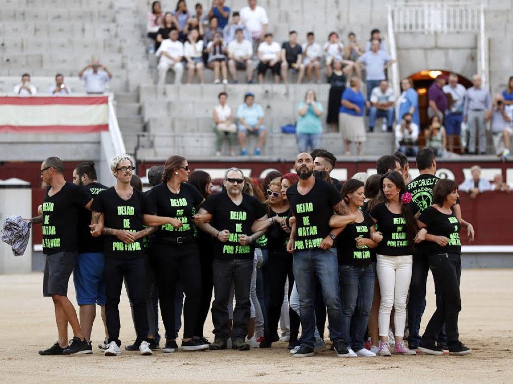 En libertad con cargos los 29 antitaurinos detenidos en Las Ventas