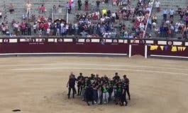 Detenidos 29 antitaurinos por boicotear una corrida en Las Ventas