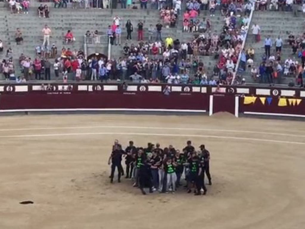 Detenidos 29 antitaurinos por boicotear una corrida en Las Ventas