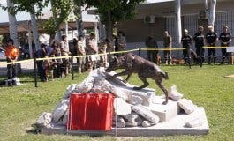 La UME rinde homenaje en Torrejón a los perros que salvan vidas