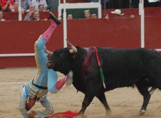 Dos novilleros, uno de Torrejón, heridos en las Fiestas de Azuqueca