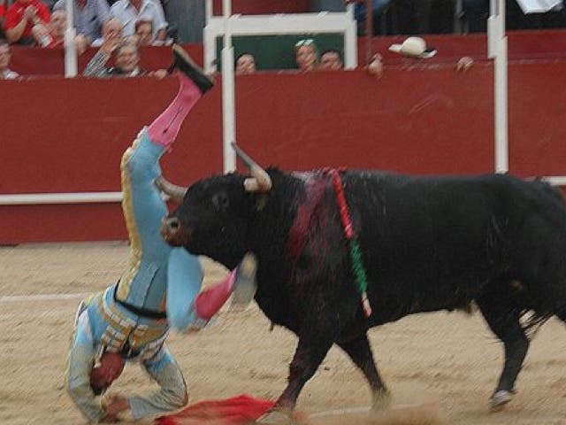 Dos novilleros, uno de Torrejón, heridos en las Fiestas de Azuqueca