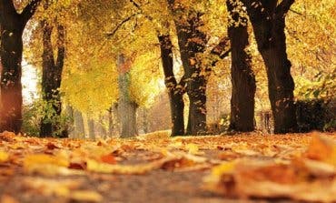 El otoño será más cálido y más húmedo en la Comunidad de Madrid