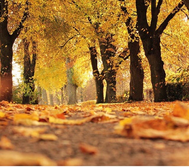 El otoño será más cálido y más húmedo en la Comunidad de Madrid