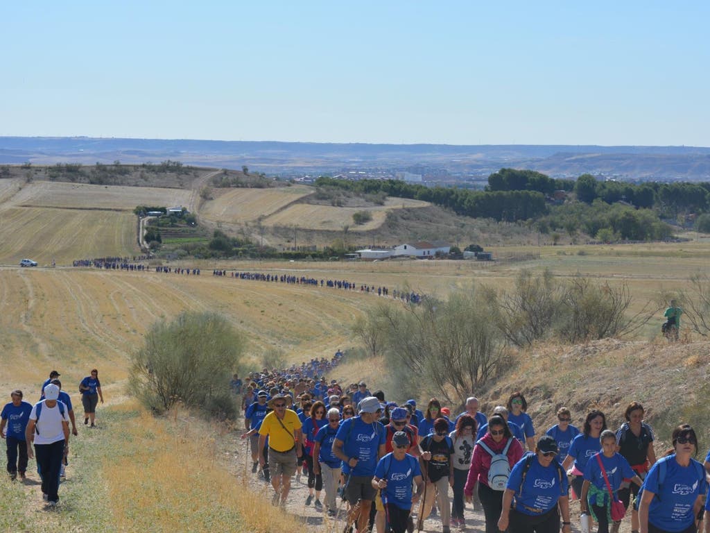 La ruta senderista de moda en el Corredor del Henares