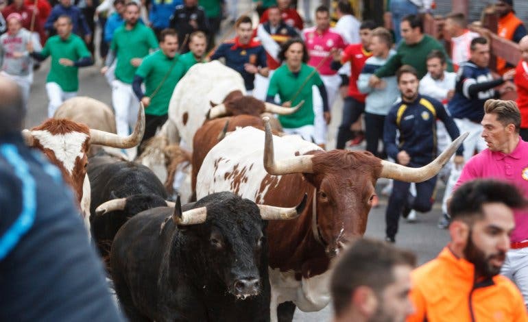 Un herido por asta de toro en los encierros de Guadalajara