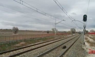 Evitan el suicidio de un hombre en las vías del tren en Alcalá