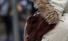 Activado el aviso amarillo para las próximas horas en la Sierra de Madrid, con hasta seis grados bajo cero