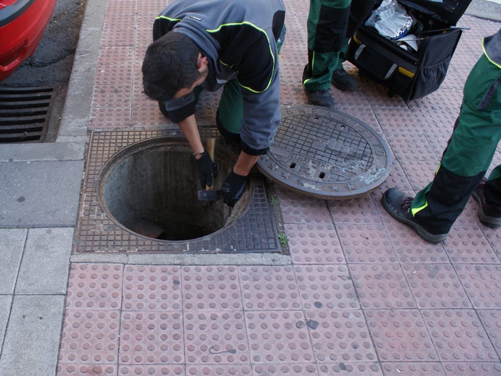 San Fernando se pone manos a la obra contra la plaga de ratas