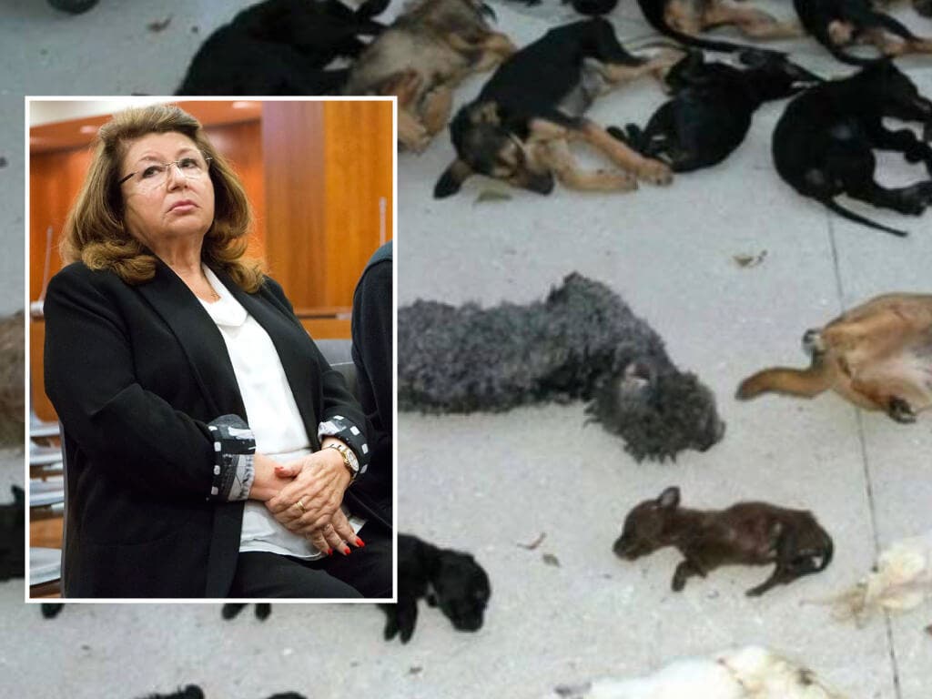 Ingresa en Alcalá-Meco la primera mujer en ir a prisión por maltrato animal