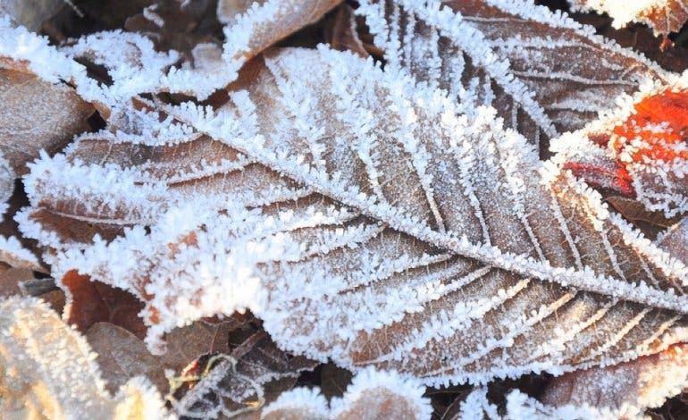 Aviso amarillo por frío en toda la Comunidad de Madrid 