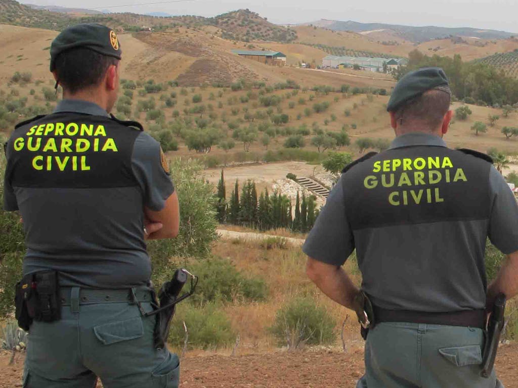 Retiran 10 perros de la finca donde un niño perdió las orejas por mordeduras