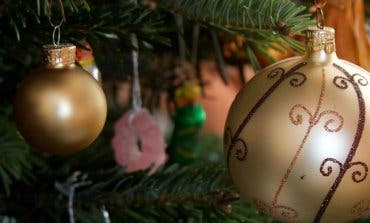 Torrejón recoge los árboles navideños de los vecinos para darles una segunda oportunidad
