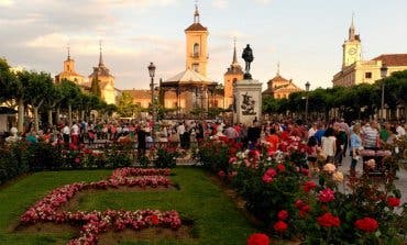 Polémica en Alcalá por la peatonalización de la Plaza de Cervantes 