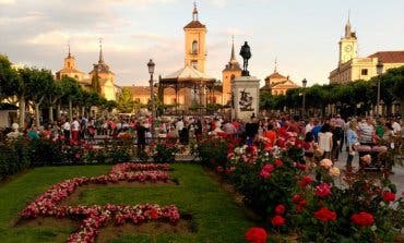 Crecen los turistas que eligen visitar Alcalá de Henares en verano
