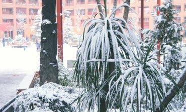 Coslada se prepara para hacer frente a las posibles nevadas