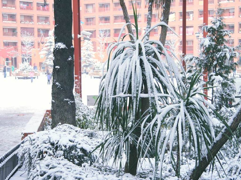 Coslada se prepara para hacer frente a las posibles nevadas