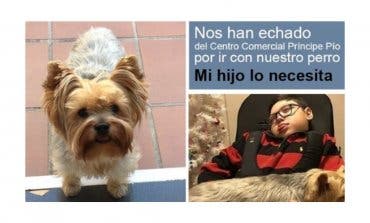 «No echen a mi hijo del centro comercial por ir con su perrito»